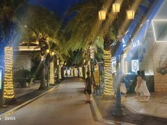 -三亚海昌梦幻海洋不夜城