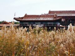 -哈素海