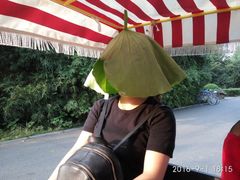 -白鹭湾湿地公园