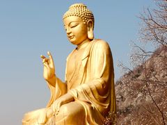 -大伊山景区