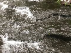 -峡谷浮石林景区