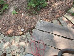 -衢州大荫山丛林飞越探险乐园
