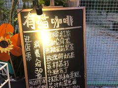 -有猫主题·治愈系猫咖(曾厝垵店)