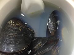 -广达眼镜炖罐(广达店)