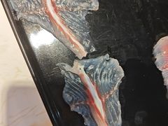 -京门活鱼馆·鱼火锅(百子湾（原红庙）店)
