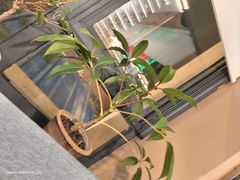 -观塘港茶餐厅(八一大道店)