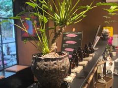 -泰·菩提树下[泰式按摩x精油SPAx肩颈头疗](新景店)
