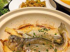 -人杰鱼乐轩(珠江路店)