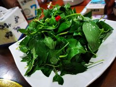 -道口古镇张存有烧鸡酒楼