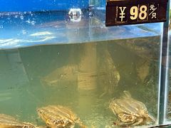 -阿马蛋汤·宁波小海鲜(总店)