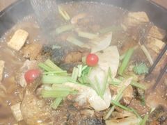 -老板恋上鱼(恒隆广场店)