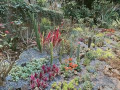 -中国科学院西双版纳热带植物园