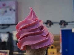 -萨朗刀克冰淇淋雪花凉(植物园店)