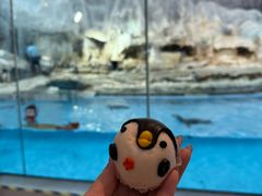 -帝企鹅自助餐厅•儿童岛•真企鹅(长隆企鹅酒店)