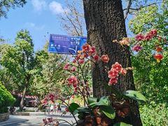 -广州市白云山风景名胜区