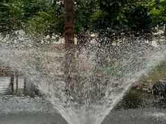 -南通洲际绿博园