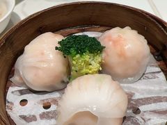 -新雅粤菜馆(南京东路店)