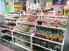 -KKV(深圳宏发大仟里店)