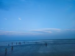 -南汇嘴观海公园