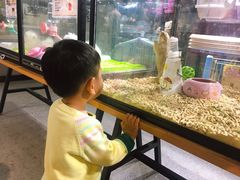 -宠物世家(仲盛世界商城店)