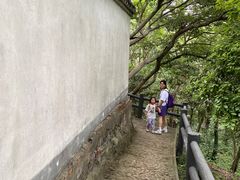 -上海佘山国家森林公园天马山园