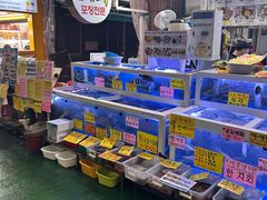 -西归浦每天偶来市场