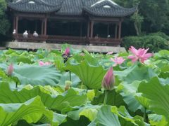 -杭州黄龙洞