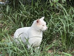 -西湖游船