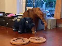-Be Lived Cafe比例咖啡(摩天轮店)