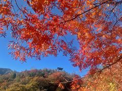 -周口店坡峰岭风景区