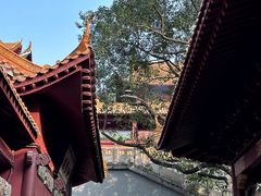 -深圳仙湖植物园