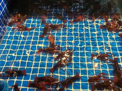 -破瓦寒窑·地摊烤羊排