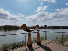 -上海长兴岛郊野公园