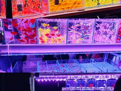 -中环花鸟鱼虫市场
