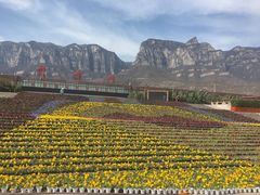 门面-云台山风景名胜区