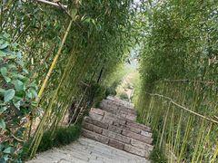 -竹子庵公园