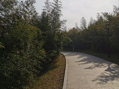 -灞河西岸滨河公园