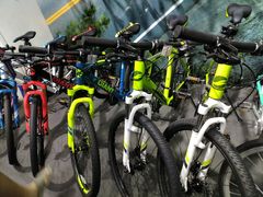 -GIANT捷安特自行车专卖店(金桥台儿庄路店)