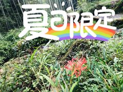 -梅岭神龙潭