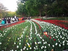 -长春公园(普阳街道)