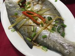 清蒸/红烧马友鱼-蛇口康乐快餐鱼仔档(翠苑小区店)
