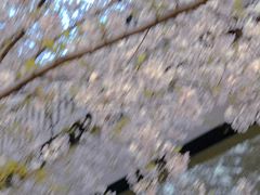 -VESH COFFEE(定西路店)