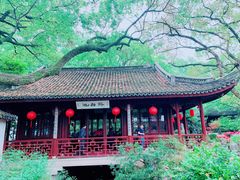 -上海醉白池公园