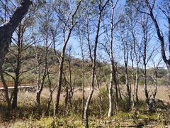 -白草畔自然风景区