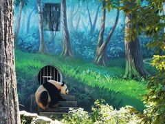 -中国大熊猫保护研究中心雅安碧峰峡基地