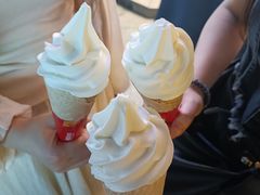 -蜜雪冰城(武进区吾悦店)