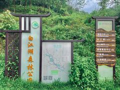 -广州白江湖森林公园