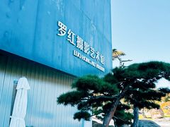 -罗红摄影艺术馆