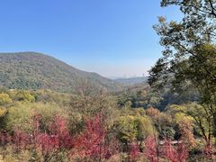 -老山国家森林公园