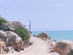 -广东惠东海龟国家级自然保护区